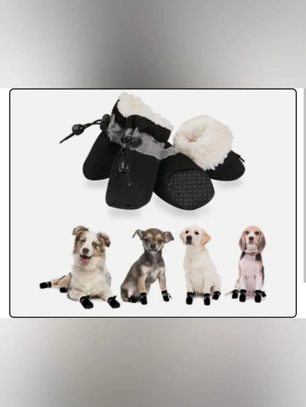 Dog 🐶 Shoes for Small Dogs, Puppy Boots